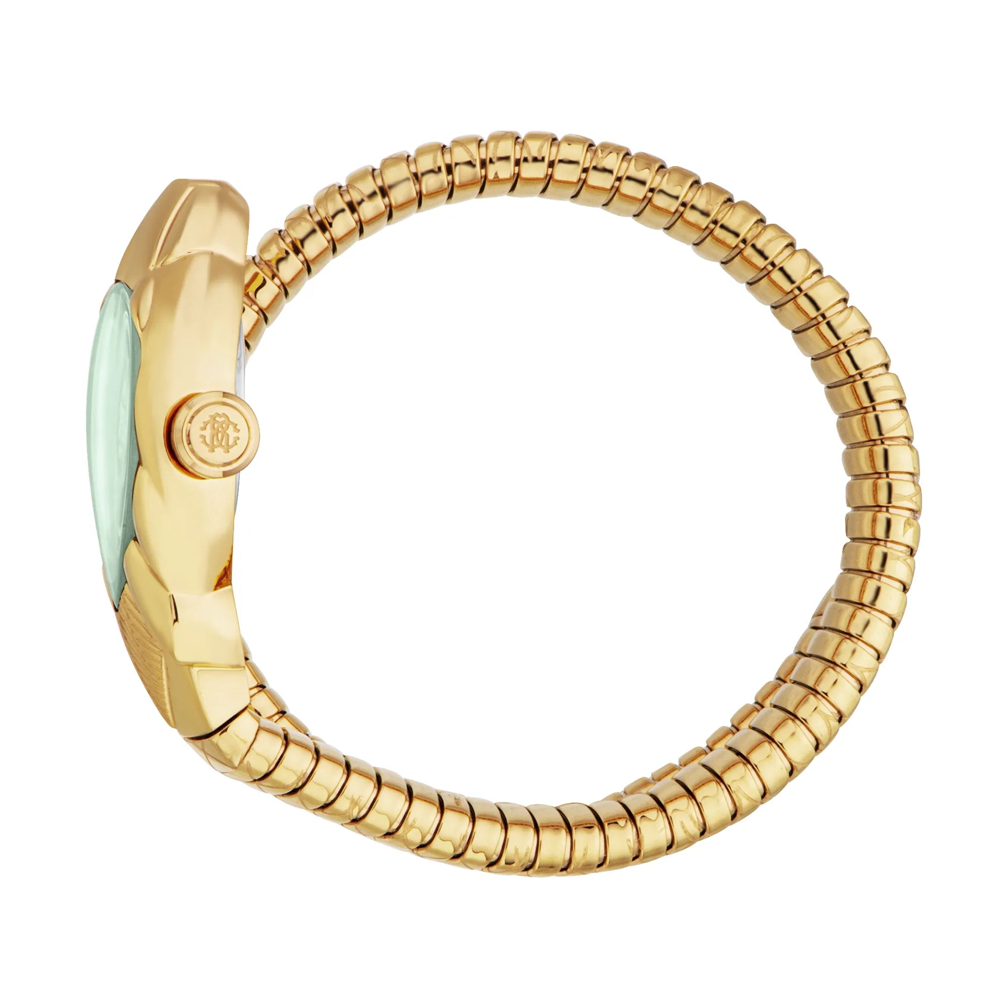 Roberto Cavalli Roberto Cavalli Lady RC5L110M0045 — immagine 3