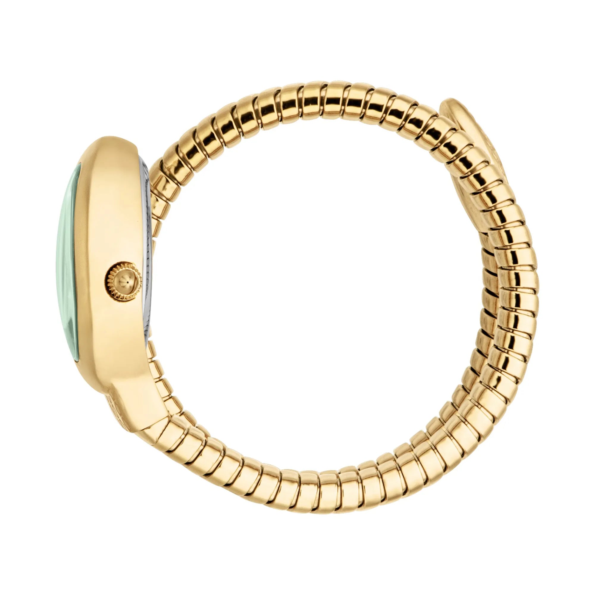Just Cavalli Just Cavalli Signature Snake Eclisse Yellow Gol Green — immagine 3