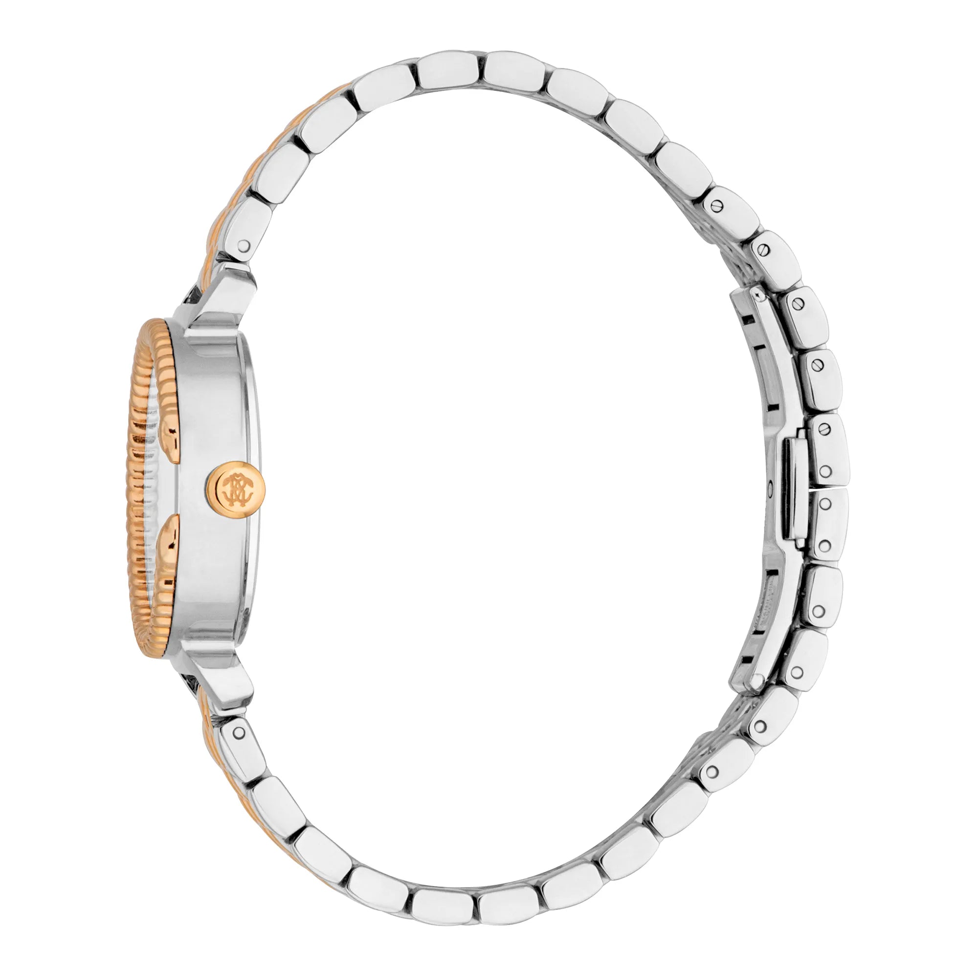 Roberto Cavalli Roberto Cavalli Lady RC5L061M1085 — immagine 3